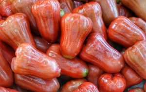 Ketahuilah 6 Manfaat Jambu Air Merah Untuk Ibu Hamil