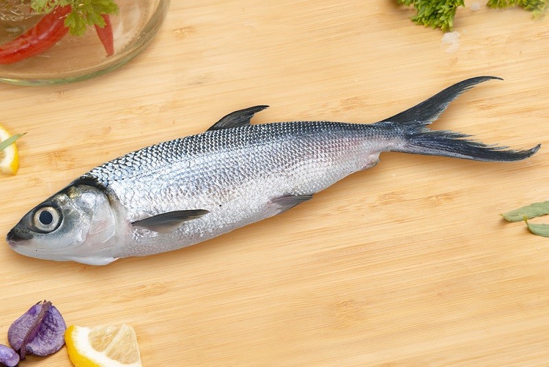 Berikut 6 Manfaat Ikan Bandeng untuk Ibu Hamil, Apa Saja?