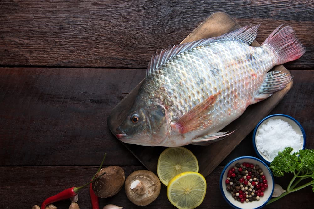 Simak 7 Manfaat Ikan Mujair untuk Ibu Hamil
