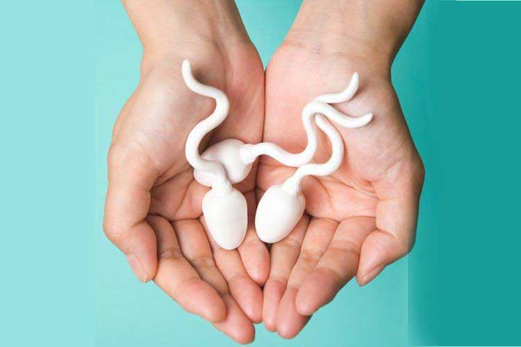 cara membedakan sperma subur dan tidak