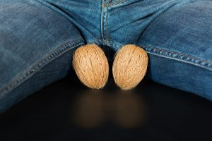 Understanding the Anatomy and Functions of the Testicle