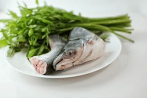 manfaat ikan patin untuk ibu hamil