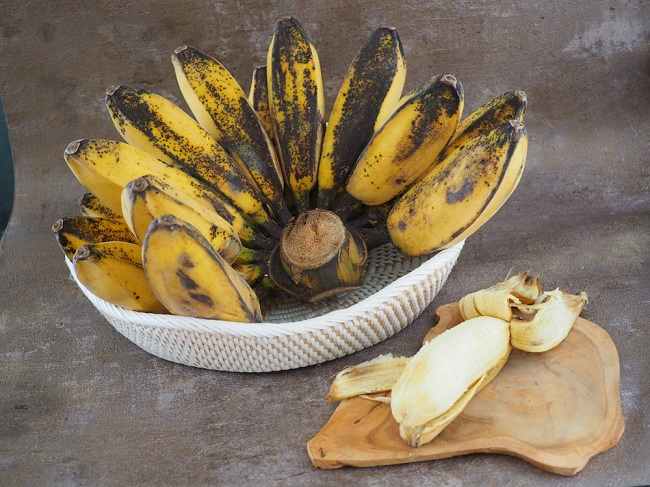 manfaat pisang kepok untuk ibu hamil