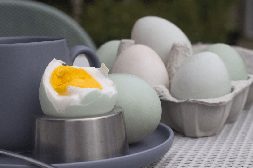 manfaat telur bebek untuk ibu hamil