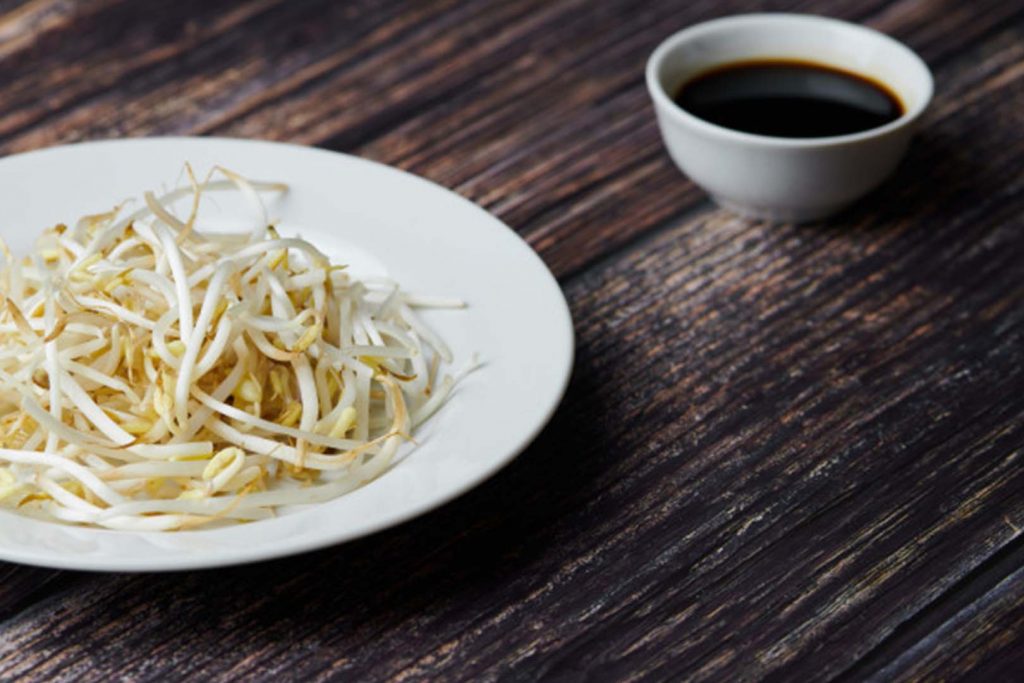 Berikut 7 Manfaat Toge Bagi Kesehatan Ibu Hamil 4 manfaat toge untuk ibu hamil