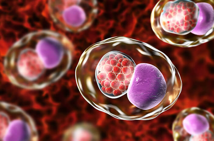 jenis penyakit menular seksual