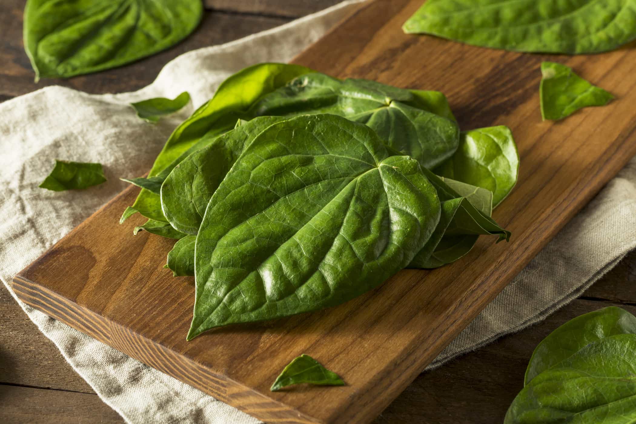 Fakta Herbal: Manfaat Daun Sirih untuk Rahim Wanita