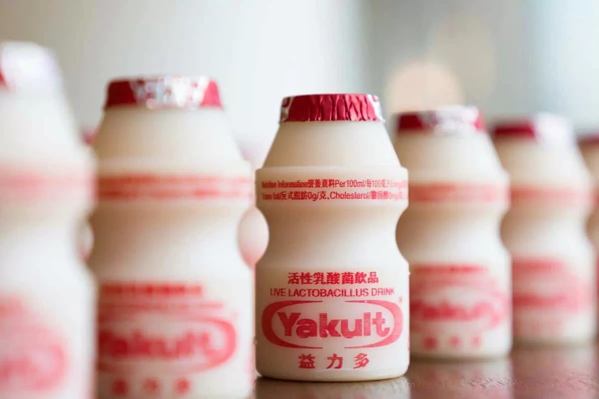 bolehkah ibu hamil minum yakult