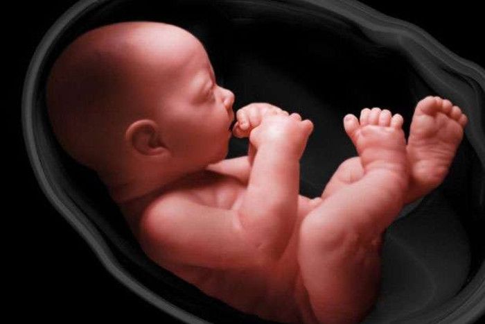 ciri bayi sehat dalam kandungan usia 8 bulan