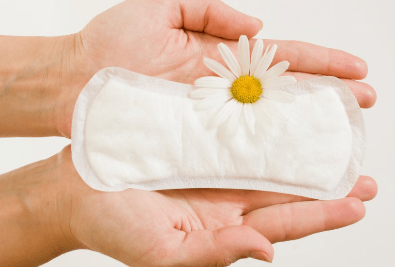 manfaat daun beluntas untuk ibu hamil