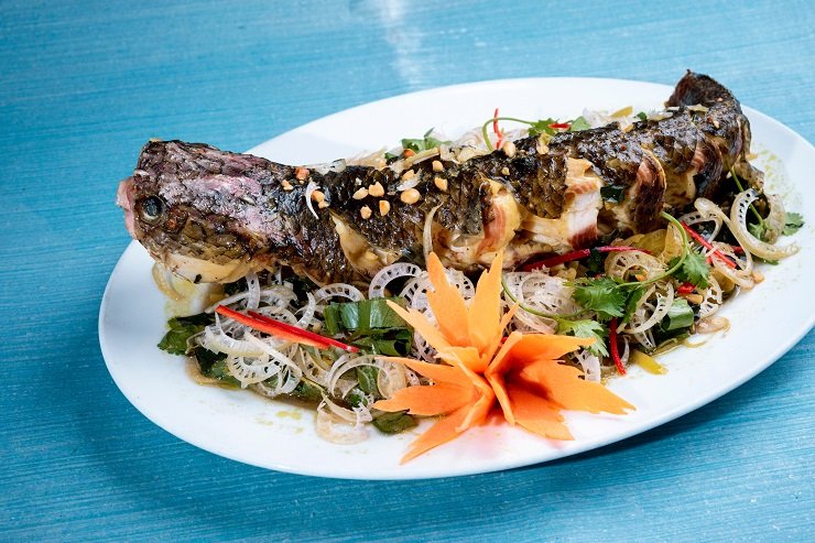 manfaat ikan gabus untuk ibu menyusui