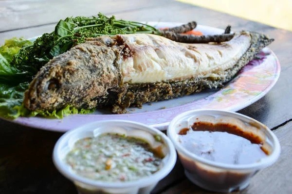 manfaat ikan gabus untuk ibu menyusui