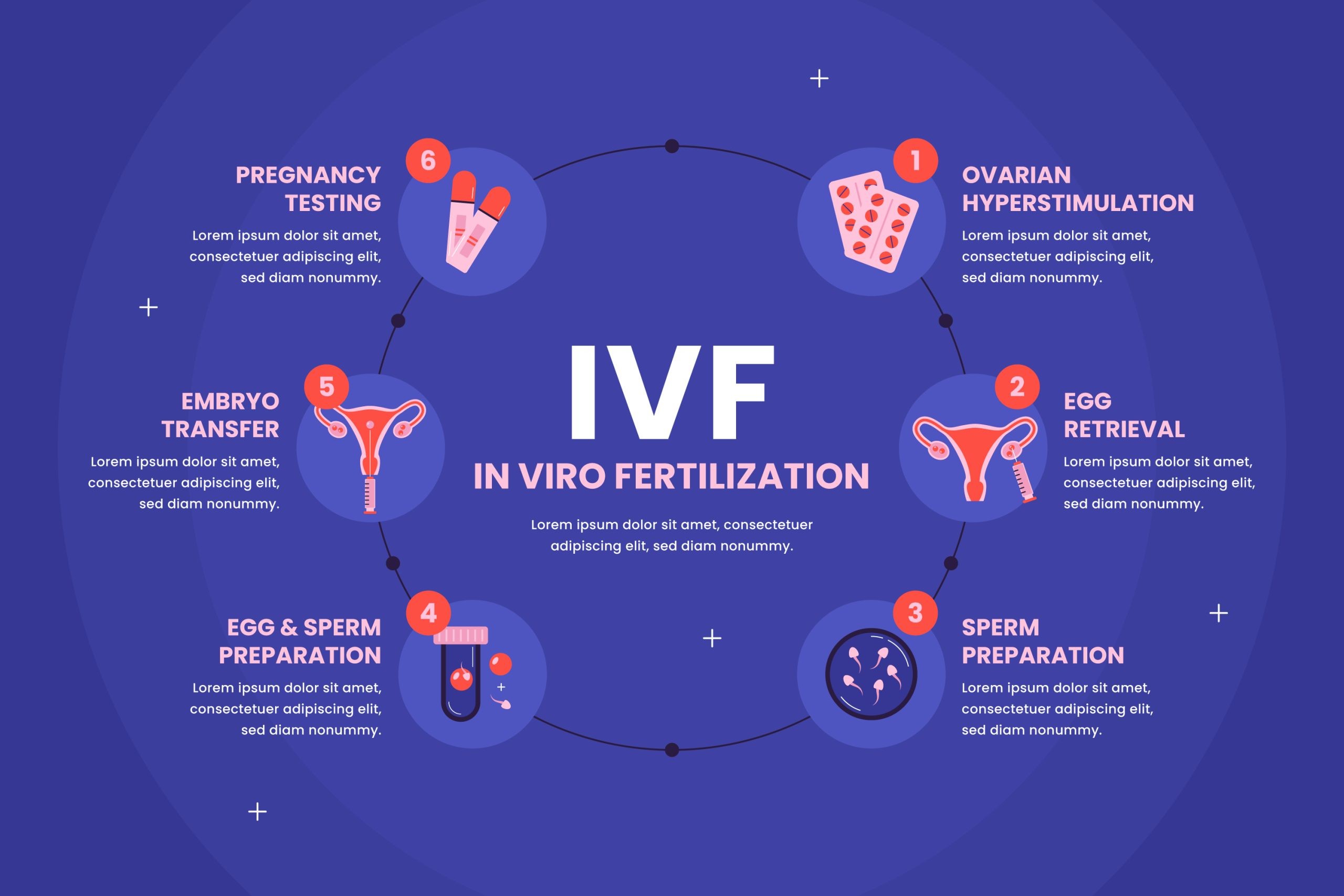 Characteristics of Quality IVF Embryos You Need to Know