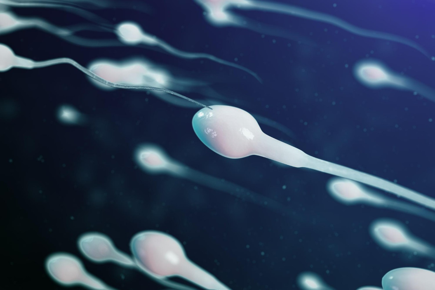 Inilah Ciri-ciri Sperma Sehat Untuk Mempercepat Kehamilan!