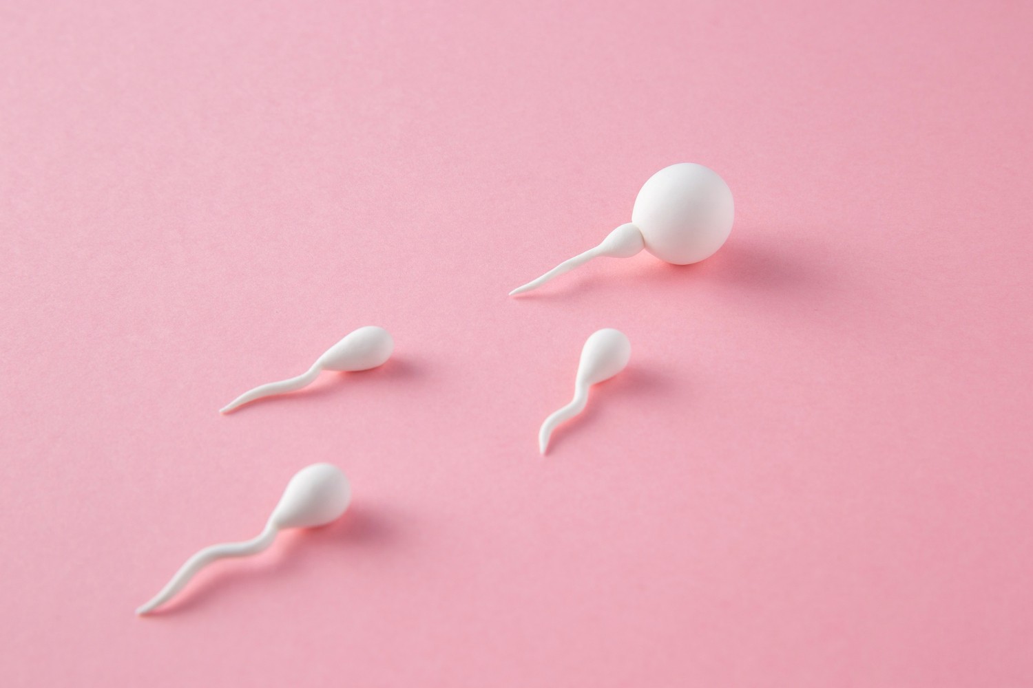 Here are the requirements and stages of sperm donation for IVF