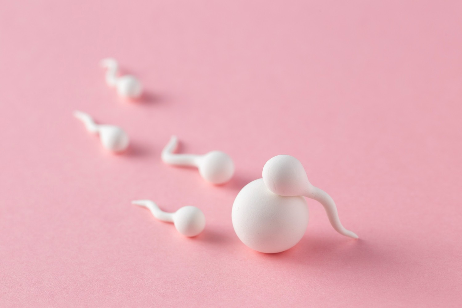 Swallowing Sperm Can You Get Pregnant? Check the following facts!