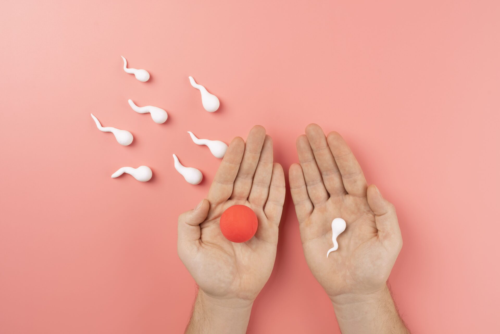 morula ivf bayi tabung