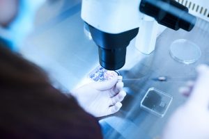 Mengintip Persiapan Sebelum Frozen Embryo Transfer, Calon Ibu Wajib Tahu!