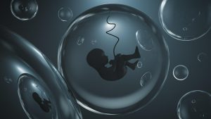 Mengenal Plasenta Anterior pada Kehamilan dan Cara Mengatasinya