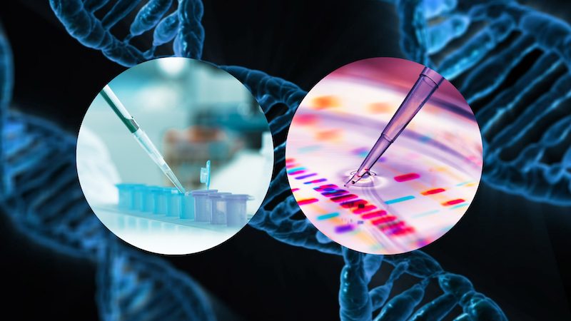 Carrier screening DNA