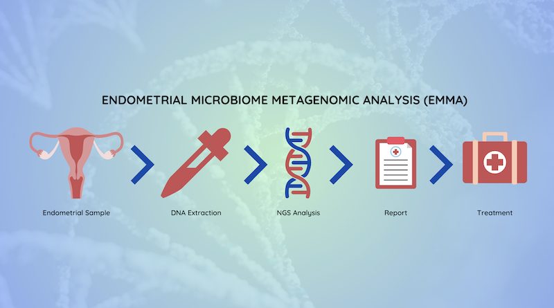 Endometrial Microbiome Metagenomic Analysis (EMMA)