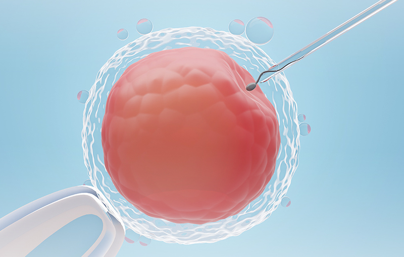bayi tabung (in vitro fertilization)