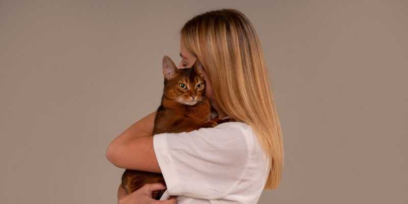 The Danger of Cat Fur: Myth or Medical Fact?