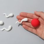 Herbal untuk Kesuburan Pria: Panduan Alami untuk Mendukung Kesehatan Reproduksi