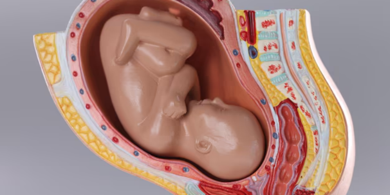 Insufisiensi Plasenta: Penyebab, Gejala, dan Cara Mengatasinya