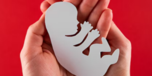 Fungsi Plasenta: Peran Vital dalam Kehamilan 