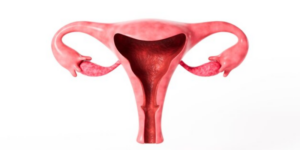 Dampak Kelainan Bentuk Rahim pada Ibu Hamil