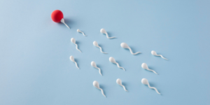 Signs That Sperm Has Entered the Uterus and the Possibility of Pregnancy
