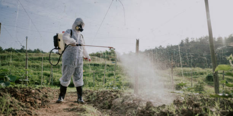 Ketahui Bahaya Paparan Pestisida pada Ibu Hamil dan Janin