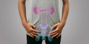 Kelenjar Cowper, Perannya dalam Sistem Reproduksi Pria