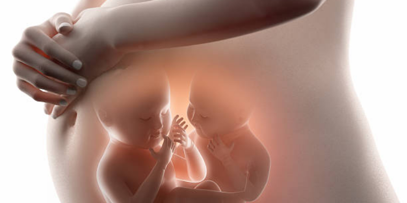 Mengapa Bisa Terjadi Kehamilan Kembar Fraternal?