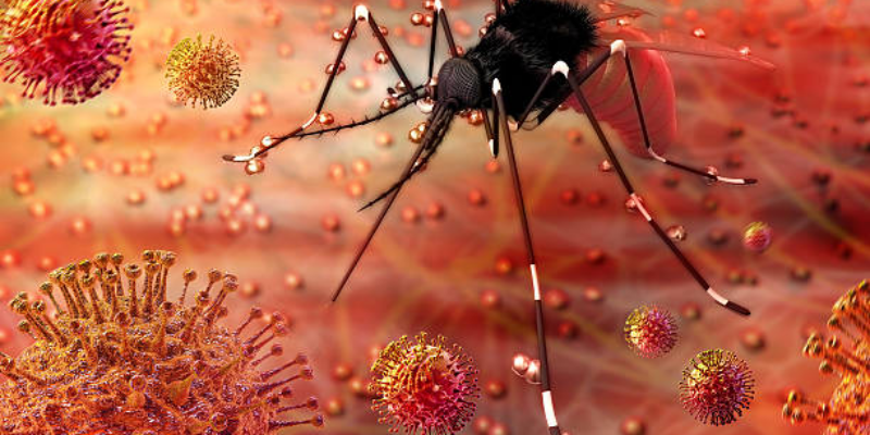 Bahaya Virus Zika untuk Ibu Hamil dan Janin