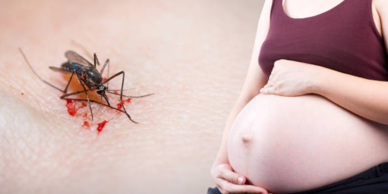 Bahaya Virus Zika untuk Ibu Hamil dan Janin