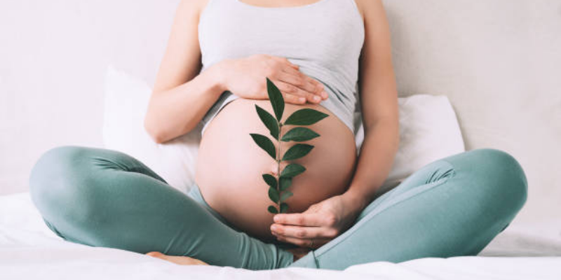 Kenali Lotus Birth dan Risiko yang Dapat Terjadi