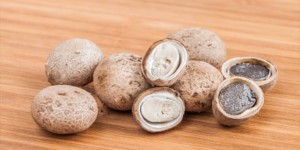 Manfaat Buah Zuriat untuk Program Hamil