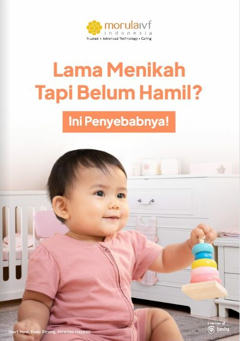 Morula Life Oktober 2022