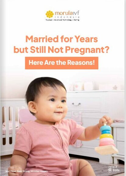 Morula Life Oktober 2022